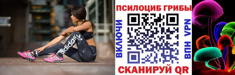 Купить где  Курчатов  Галлюциногенные грибы мухоморы 